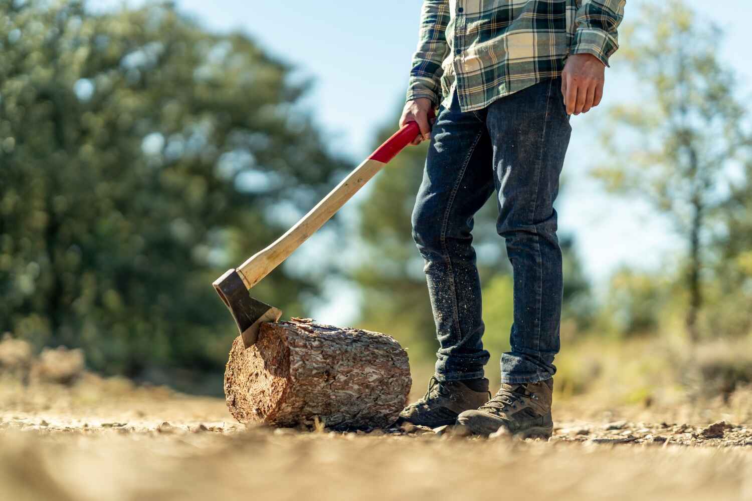 Best Tree Stump Removal  in Redby, MN